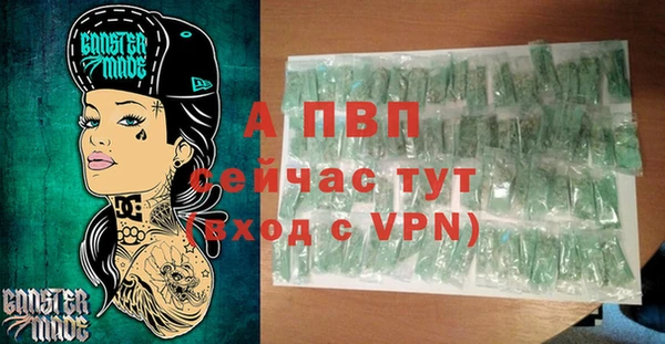 стаф Кулебаки